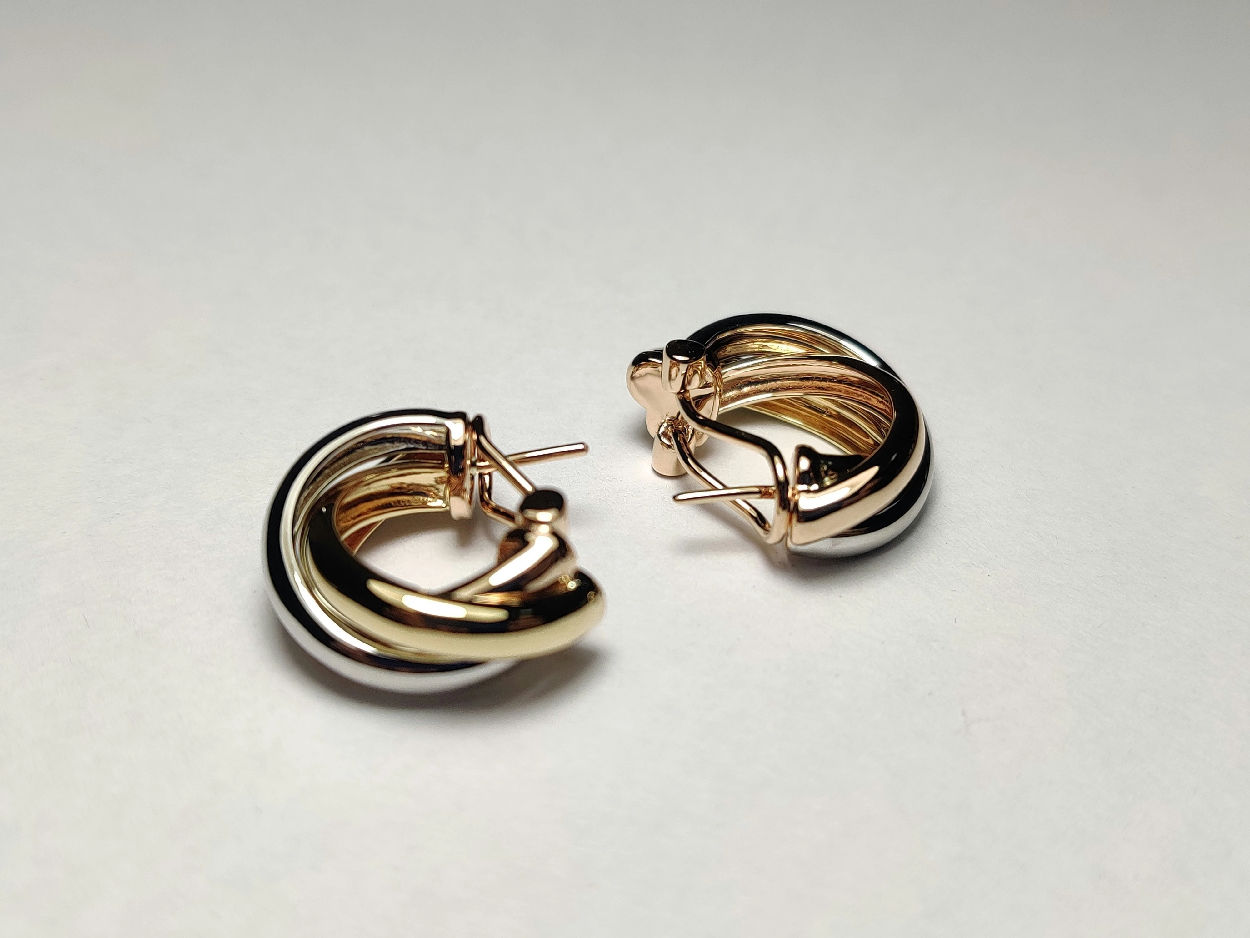 Sparkle in Love Earrings